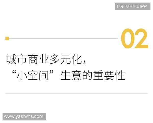 刘伟独家篮球心得分享探索技巧与心态的完美结合