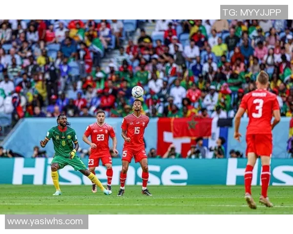 喀麦隆足球明星精彩表现赢得比赛胜利的精彩视频集锦