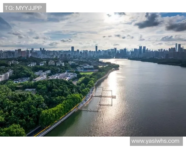 排球专题：聚焦武汉排球队的灵活性