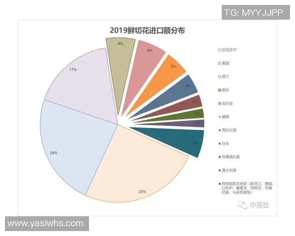 独家分析：南京羽毛球队的实力对比
