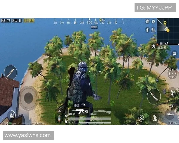 从零开始：和平精英耐力完全攻略